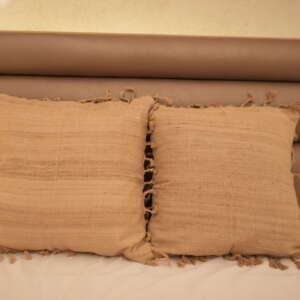 DSC03781 Muga Ghisa Cushion Cover with tassels
