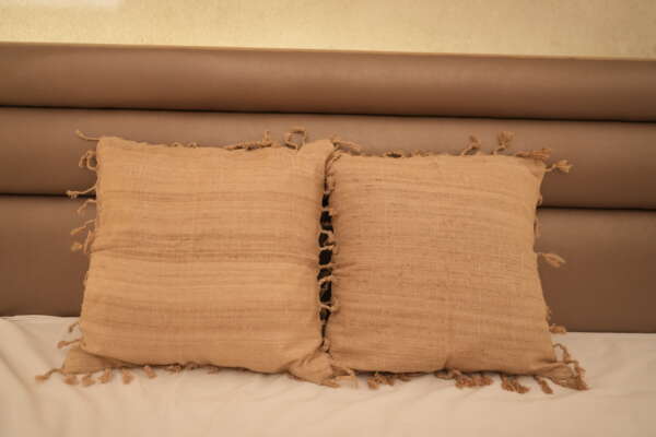 Muga Ghisa Cushion Cover with tassels