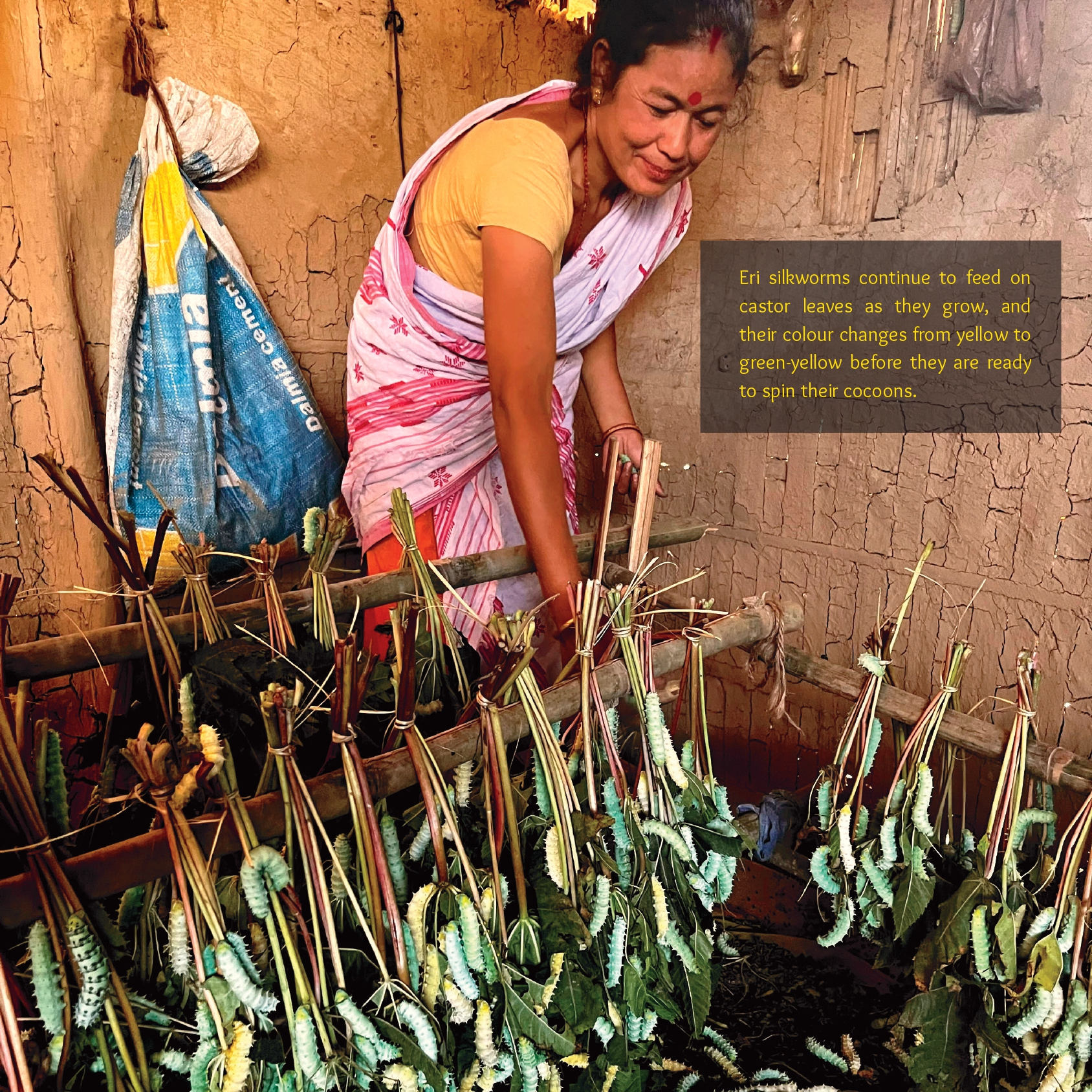 Ughaa brochure_page-0010