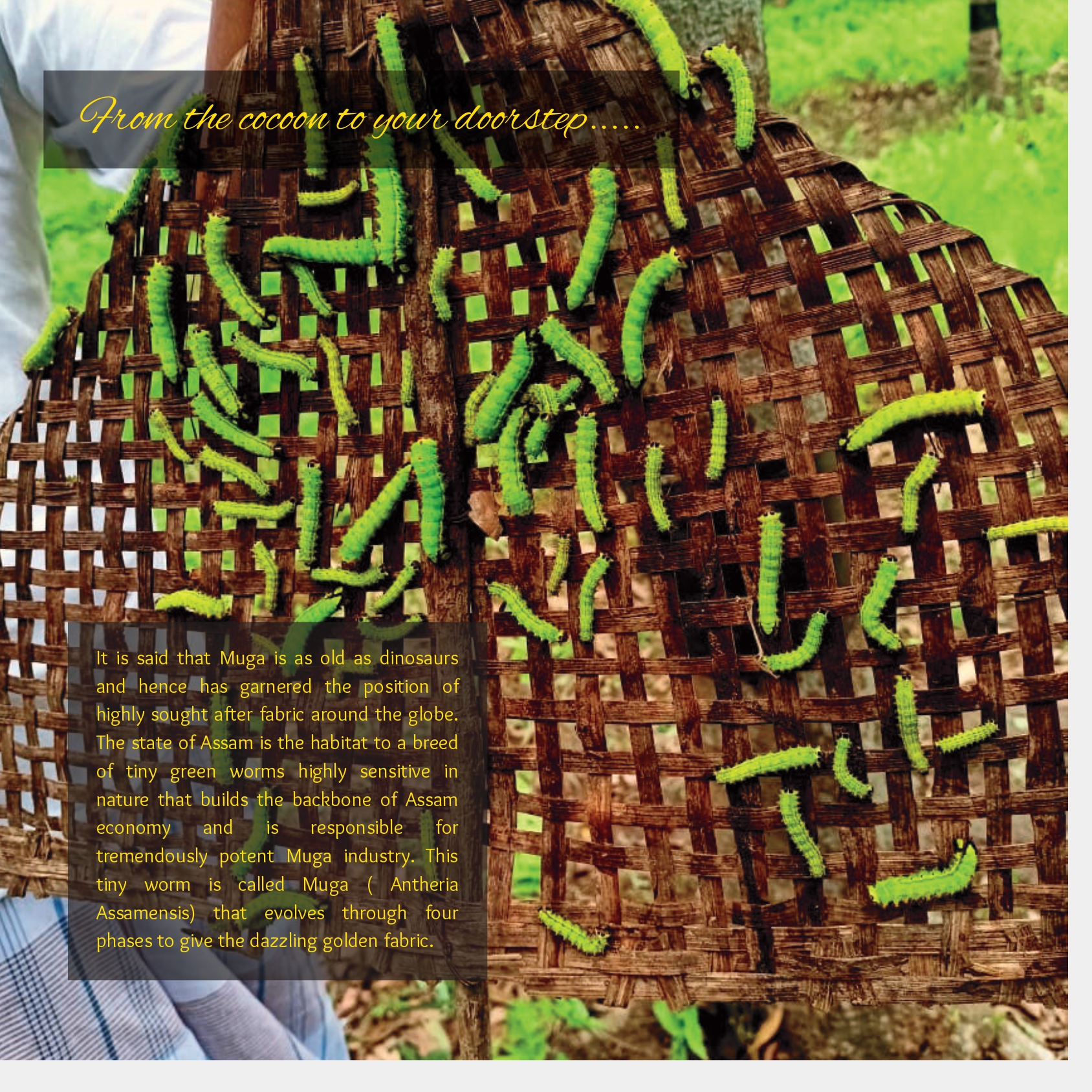 Ughaa brochure_page-0017